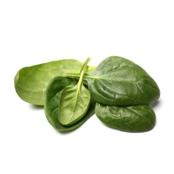 Spinach (6)-6601745-24281.webp